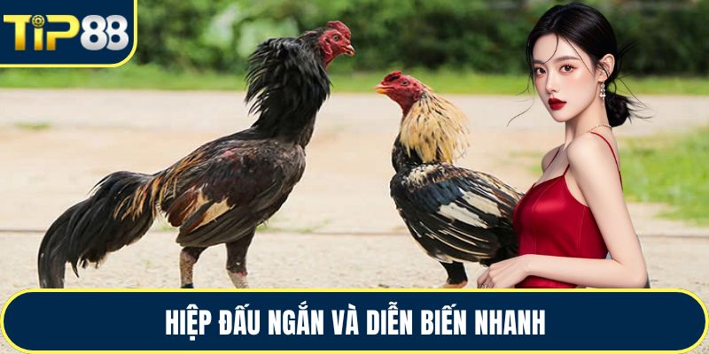 Hiệp đấu ngắn và diễn biến nhanh